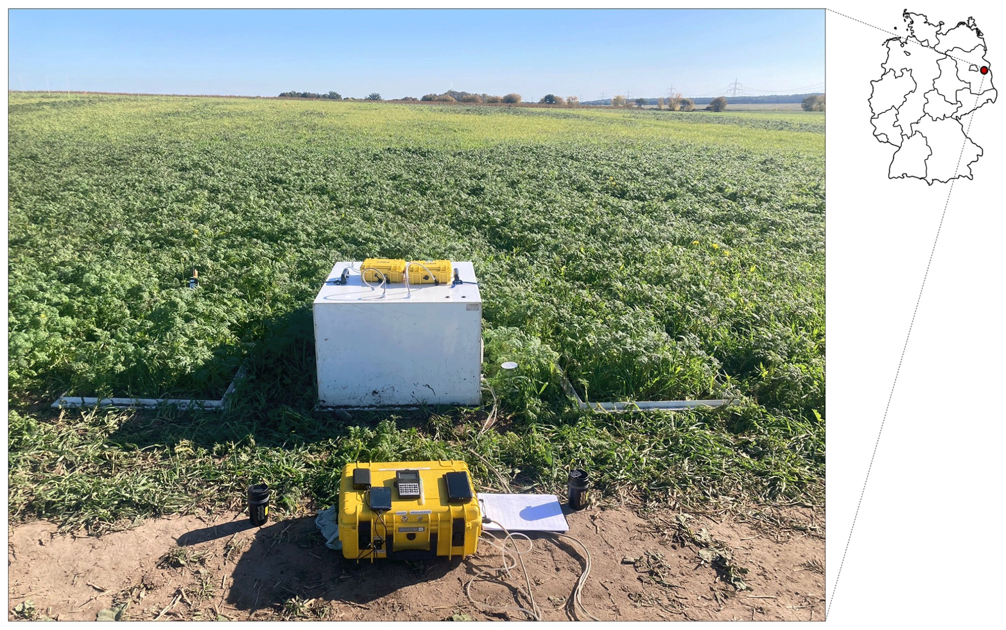 ภาพประกอบบทความเรื่อง carbon credit และระบบ MRV