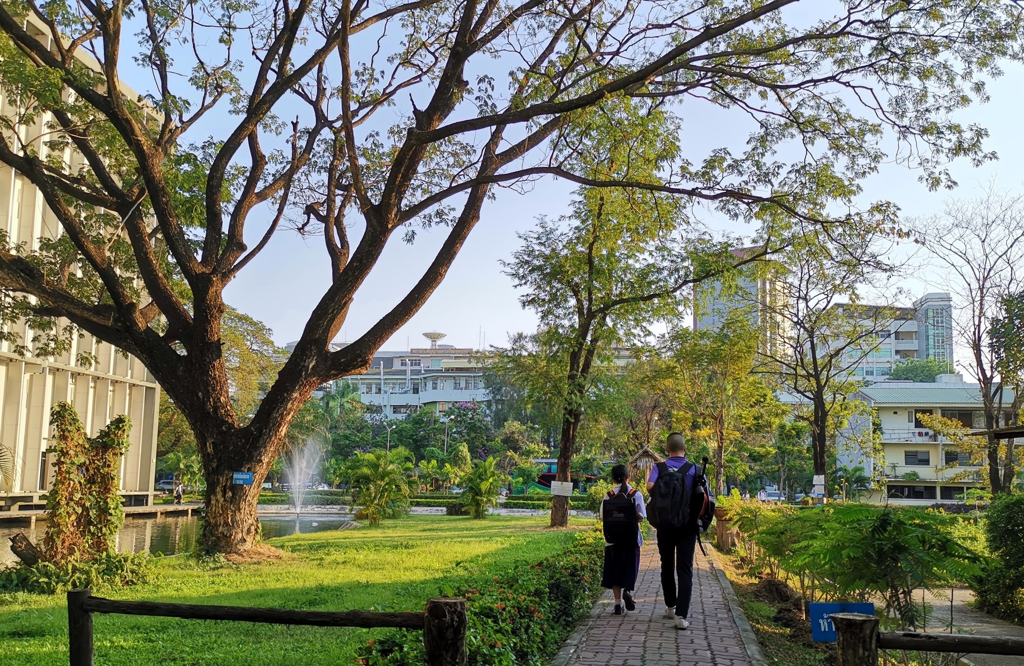 ภาพประกอบบทความการเรียนรู้ที่ไร้ความหวัง ตอนที่ 5